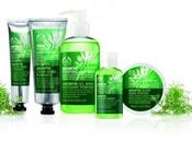 CUPONES BODY SHOP: hasta agosto