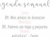 Agenda Semanal 17/12 23/12
