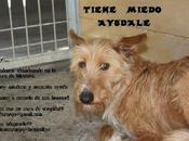 Krusty tiene miedo, ¿quieres ayudarle?