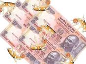 Termitas devoraron millones rupias billetes