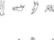 Hand yoga: mudras
