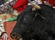 Dolores manso