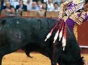 gafe planea maestranza