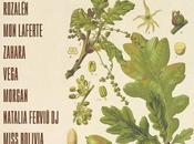 PortAmérica 2019, femenino Rozalén, Laferte, Zahara, Vega, Morgan...