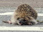 ¡¡feliz navidad... conciencia global para todos!!