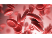 aprueba Nuevos Fármacos para Tratar Afecciones Hematológicas