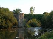 Camino Santiago: Zubiri