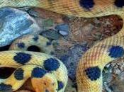 trabajos raros probablemente sabías existen