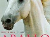 mejores libros sobre caballos