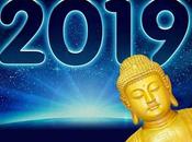 Espero 2019 para familia