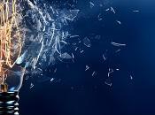 Identificación gestión innovaciones disruptivas