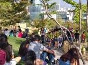 Recién inaugurado Jardín Japonés sufre daños primeros días abierto público