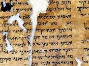 ¿Qué similar lengua fenicia hebrea?