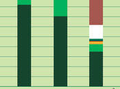 deforestación Amazonas