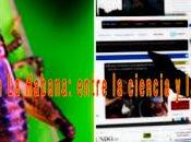 Grillos Habana: entre ciencia prensa video]