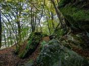 Fageda Roques Encantades, bosque para dejar volar imaginación