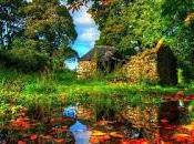 rocío, somos gotas agua