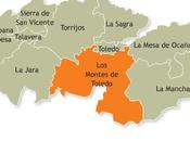 Hidalgos Toledo Catastro Ensenada 1749: Comarca Montes VIII