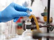 Nuevo medicamento desarrollado argentina mejora tratamiento Tuberculosis