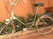 coles bicis