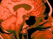 Incultos título universitario