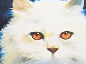 Colette: gata" ('La chatte')