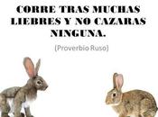 Todo!, pero forma Inteligente