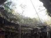 Nuevos moluscos encontrados cenotes Méjico