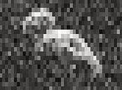 Captan imagen gigantesco asteroide metros cerca Tierra
