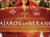 Pájaros verano