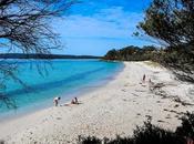 Comentario sobre cosas hacer Jervis Bay, Cosas Husky durante semana Festival TriCrew