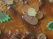 Flan horno