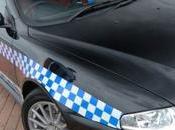 Alfa Romeo Peinture Vraiment Distingué