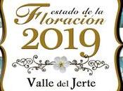 Oficina Turismo Valle Jerte comienza informar sobre estado floración 2019