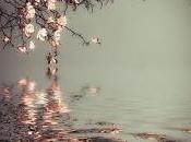 ¡qué bellos recuerdos...!