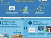 Infografia: Reseller Hosting?