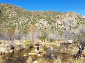 Experimentando mágico Sabino Canyon Tucson, Arizona