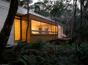 Naturaleza Steel Frame