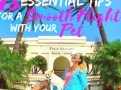 consejos esenciales para buen vuelo mascota