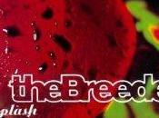 Impepinables: Breeders Last Splash