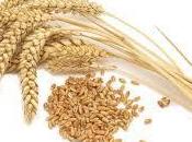 cereales integrales ayudan mantener bien presión arterial