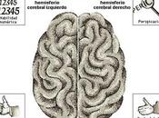 Conciencia