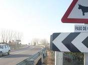 Prohibido cruzarse