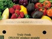 nutrientes comida orgánica