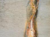 Grietas pared: Causas soluciones debes saber