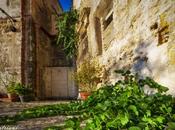 Venerdí Photosatriani