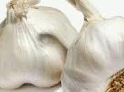 Insecticidas naturales