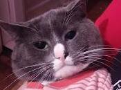 Blooper vídeo-unbox Azti