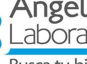 Laboratorio Angel Cali Direcciones, teléfonos horarios