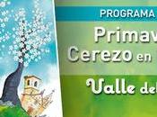 Programa Oficial Primavera Cerezo Flor 2019, Valle Jerte. Todas citas, todos detalles.